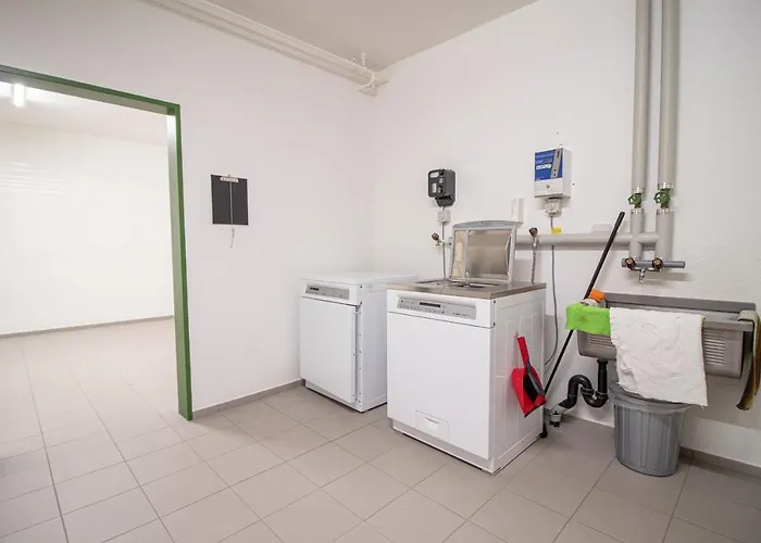 Rehwiesa 11c By * Αρόζα