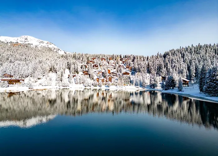 Rehwiesa 11c By Αρόζα