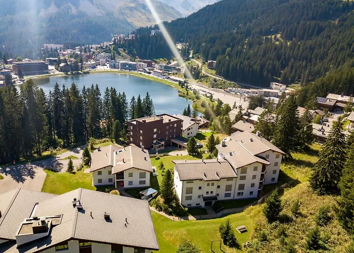 Daire Rehwiesa 11c By *