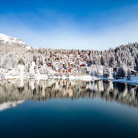 Rehwiesa 11c By Arosa